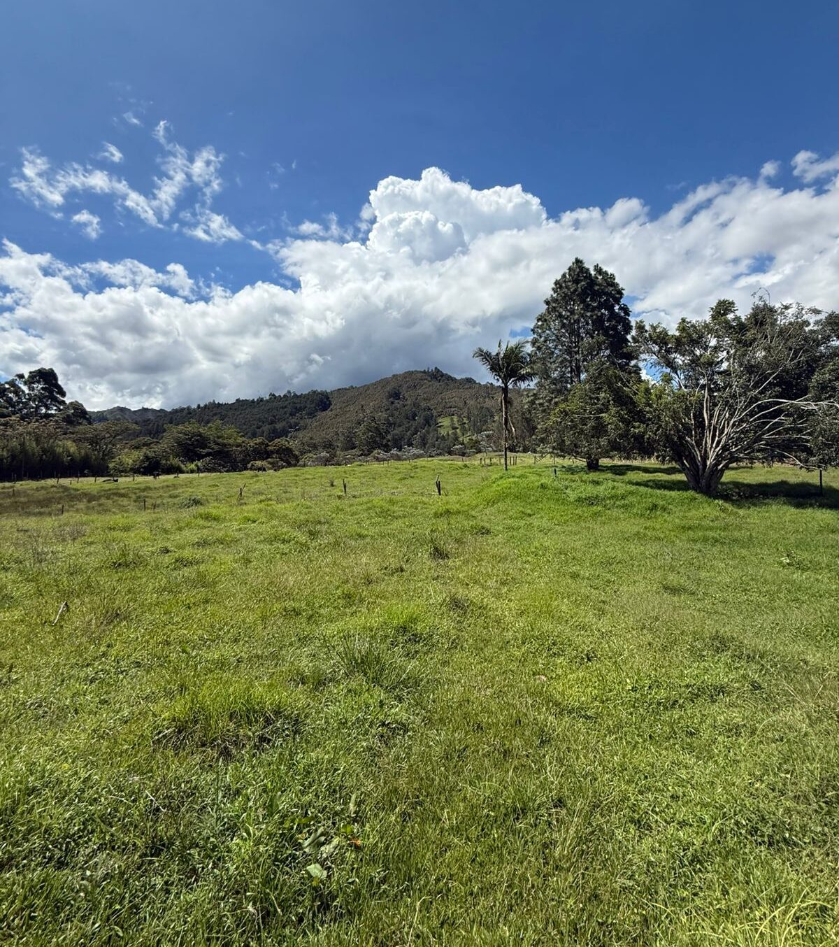 whatsapp image 2025 10 29 at 12.39.10